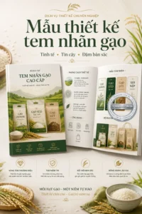Mau Thiet Ke Tem Nhan Gao
